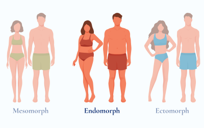 What Is the Endomorph Body Type? The Complete Guide